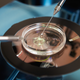 Image for article titled Woman Wants to Use Dead Daughter's Eggs to Create Child, Court Says No
